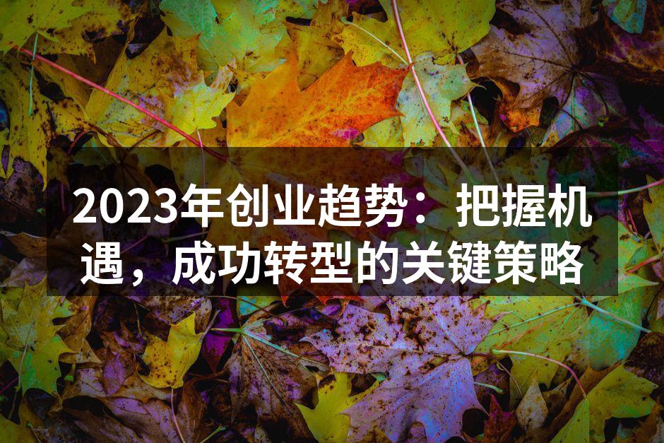 2023年创业趋势：把握机遇，成功转型的关键策略